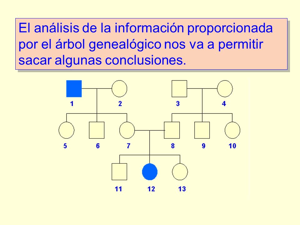 El análisis de la información proporcionada por el árbol genealógico nos va a permitir sacar algunas conclusiones.