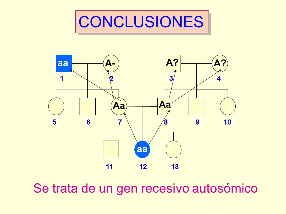 CONCLUSIONES Se trata de un gen recesivo autosómico aa A- A A Aa Aa