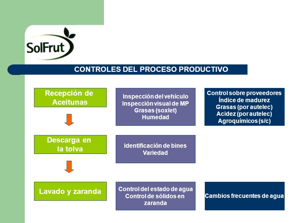 Recepción de Aceitunas Descarga en la tolva Lavado y zaranda