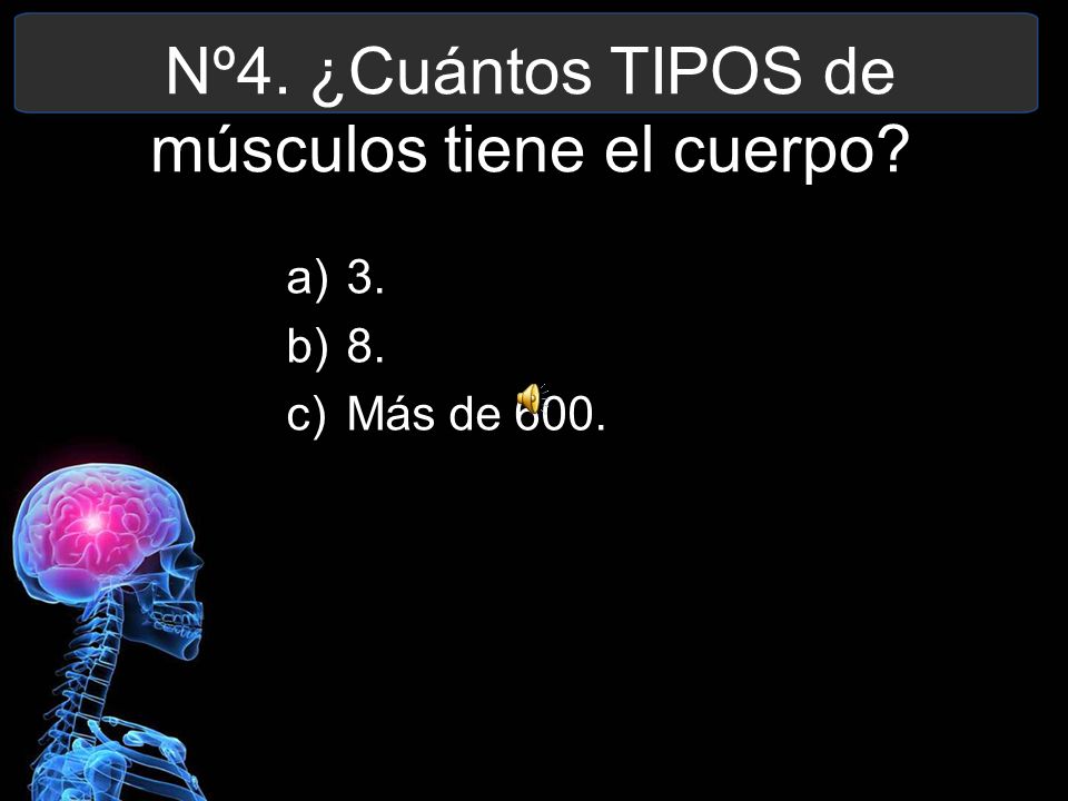 Nº4. ¿Cuántos TIPOS de músculos tiene el cuerpo