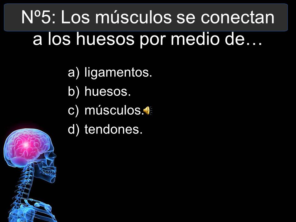 Nº5: Los músculos se conectan a los huesos por medio de…