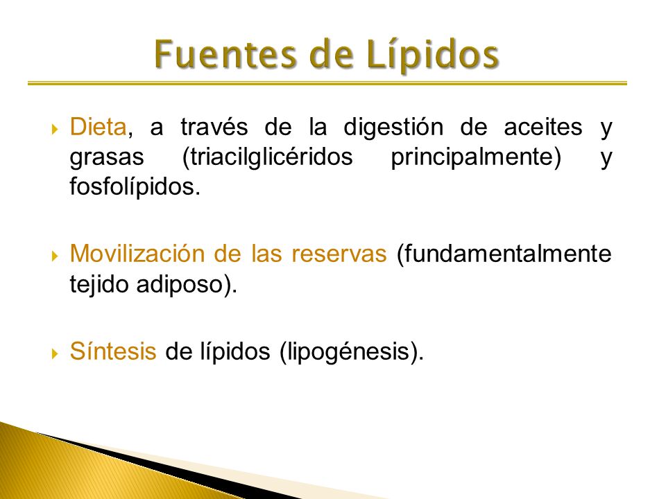 Fuentes de Lípidos Dieta, a través de la digestión de aceites y grasas (triacilglicéridos principalmente) y fosfolípidos.