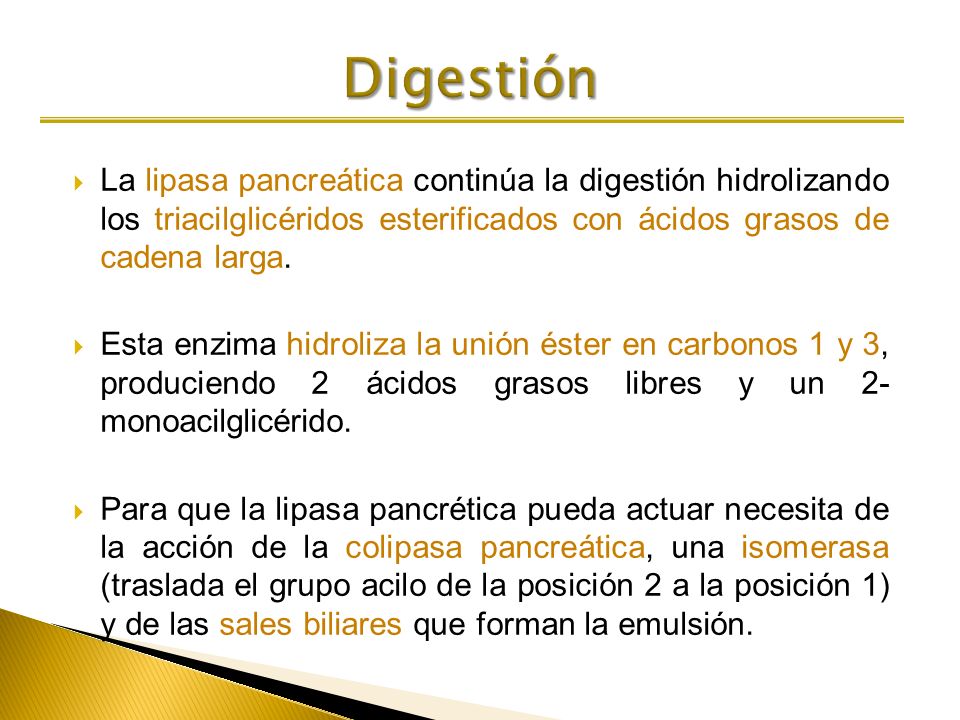 Digestión La lipasa pancreática continúa la digestión hidrolizando los triacilglicéridos esterificados con ácidos grasos de cadena larga.
