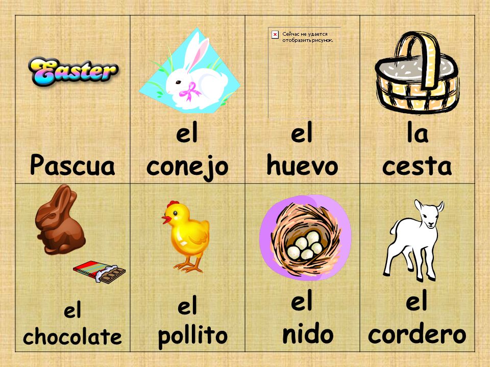 Pascua el conejo el huevo la cesta nido el cordero