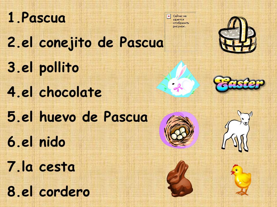 Pascua el conejito de Pascua el pollito el chocolate el huevo de Pascua el nido la cesta el cordero