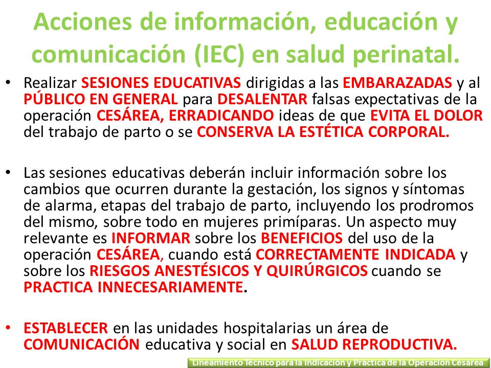 Acciones de información, educación y comunicación (IEC) en salud perinatal.