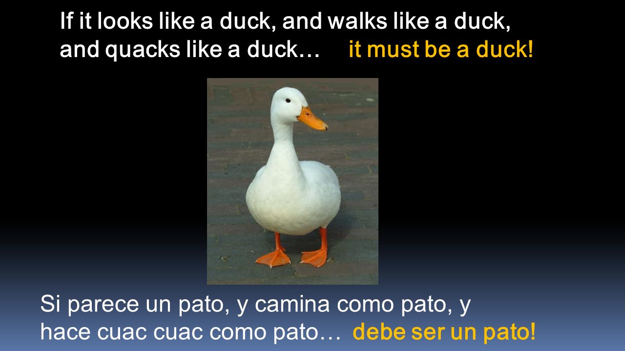 If it looks like a duck, and walks like a duck, and quacks like a duck…