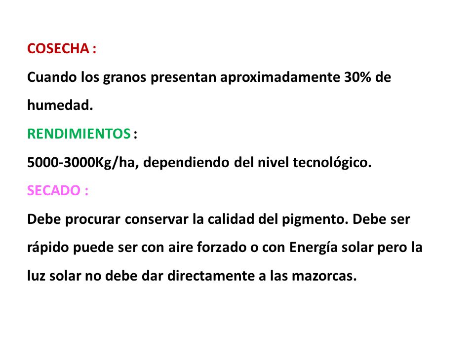 COSECHA : Cuando los granos presentan aproximadamente 30% de humedad. RENDIMIENTOS : Kg/ha, dependiendo del nivel tecnológico.