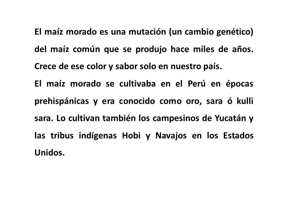 El maíz morado es una mutación (un cambio genético) del maíz común que se produjo hace miles de años. Crece de ese color y sabor solo en nuestro país.