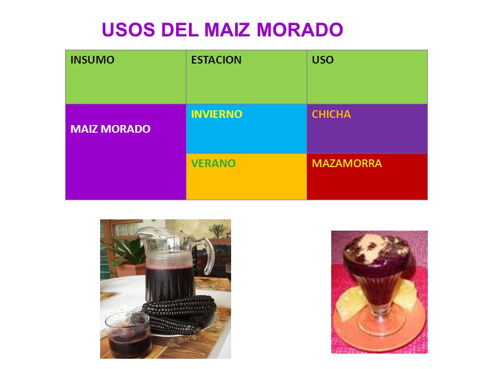 USOS DEL MAIZ MORADO INSUMO ESTACION USO MAIZ MORADO INVIERNO CHICHA