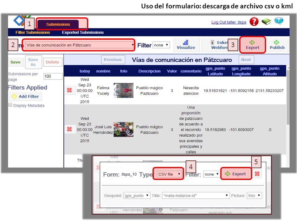 Uso del formulario: descarga de archivo csv o kml