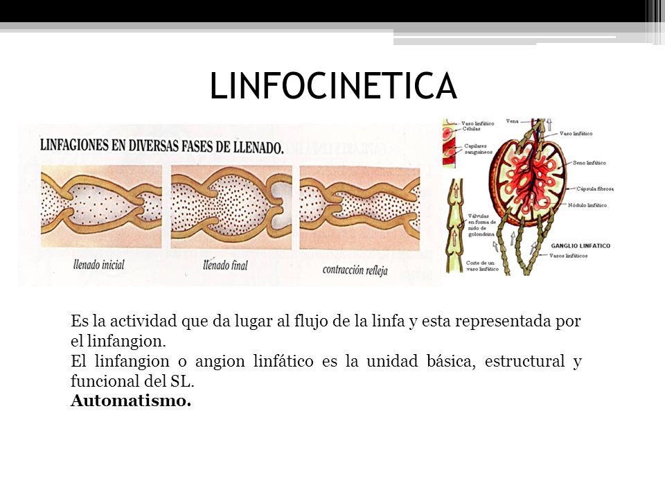 LINFOCINETICA Es la actividad que da lugar al flujo de la linfa y esta representada por el linfangion.