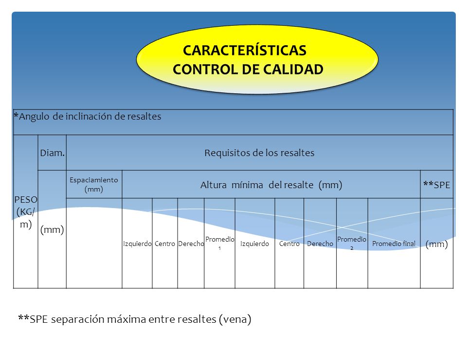PROYECTOS Y PORTAFOLIOS DE INVERSION SIGLO XXI SAS PYPSIGLOXXI SAS
