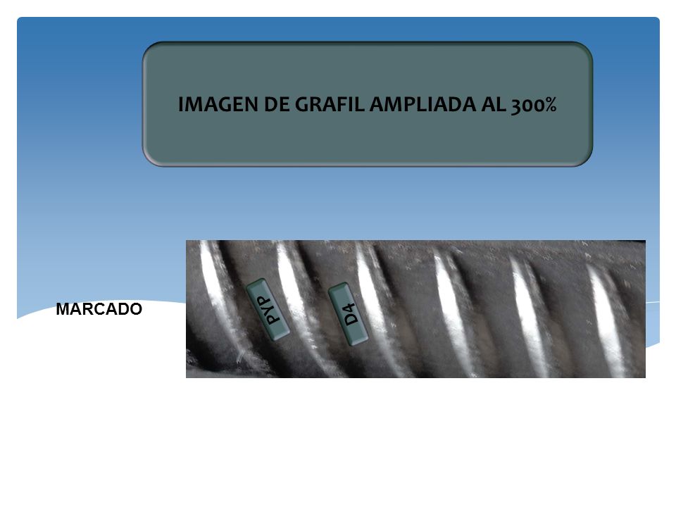 PROYECTOS Y PORTAFOLIOS DE INVERSION SIGLO XXI SAS PYPSIGLOXXI SAS