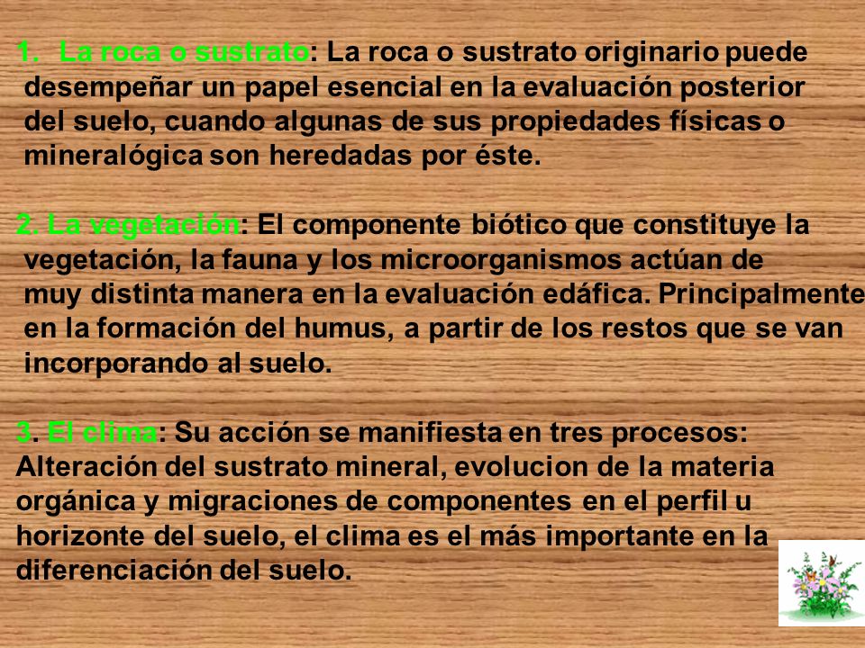 La roca o sustrato: La roca o sustrato originario puede