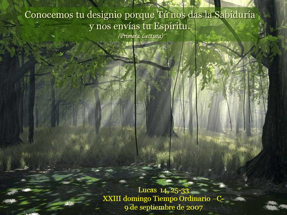 Conocemos tu designio porque Tú nos das la Sabiduría y nos envías tu Espíritu. (Primera Lectura)