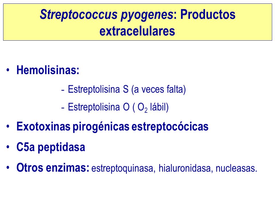 Streptococcus pyogenes: Productos extracelulares