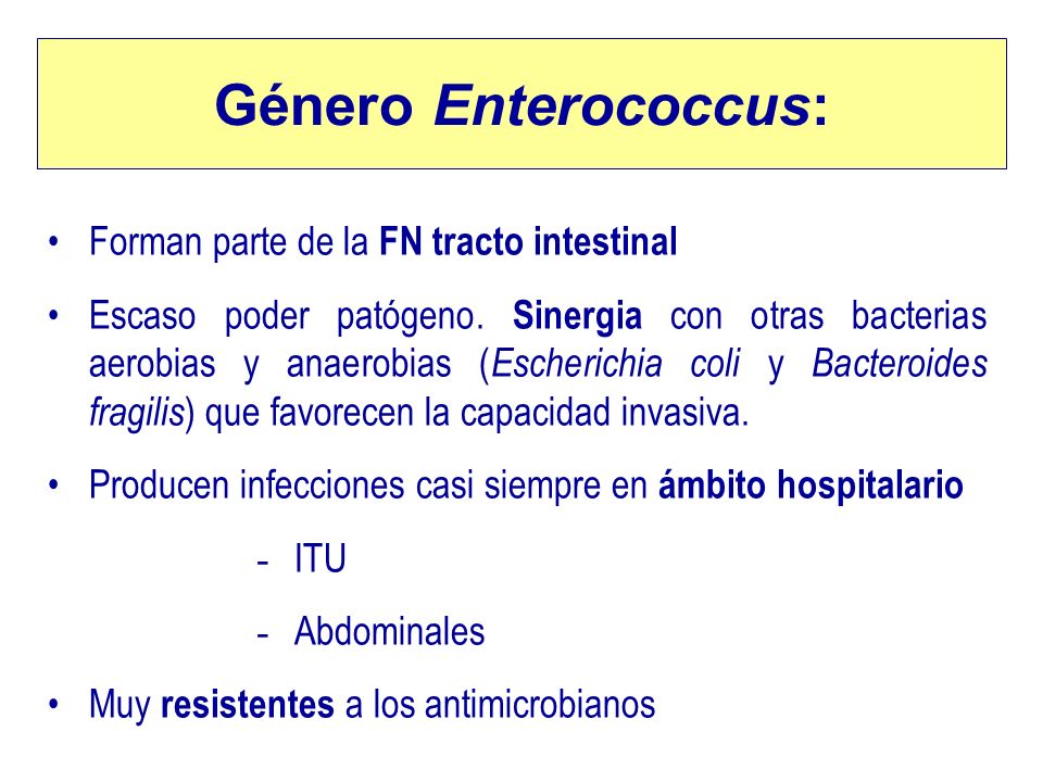 Género Enterococcus: Forman parte de la FN tracto intestinal