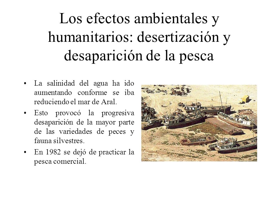 Los efectos ambientales y humanitarios: desertización y desaparición de la pesca