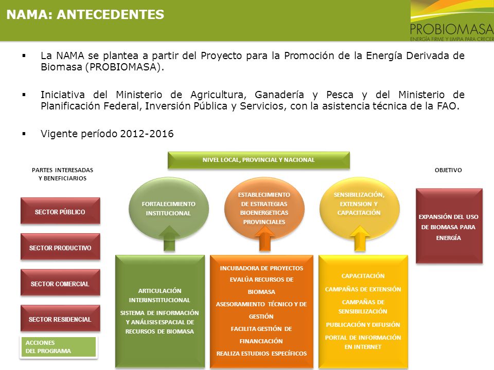 NAMA: ANTECEDENTES La NAMA se plantea a partir del Proyecto para la Promoción de la Energía Derivada de Biomasa (PROBIOMASA).