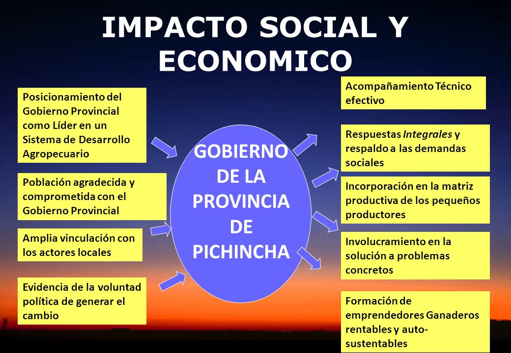 IMPACTO SOCIAL Y ECONOMICO
