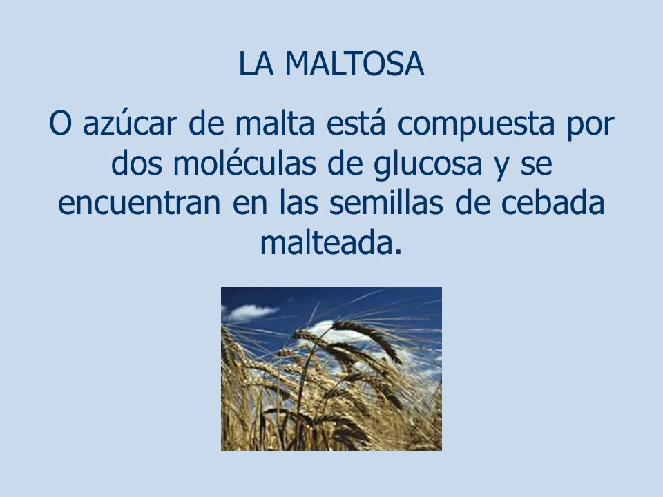 LA MALTOSA O azúcar de malta está compuesta por dos moléculas de glucosa y se encuentran en las semillas de cebada malteada.