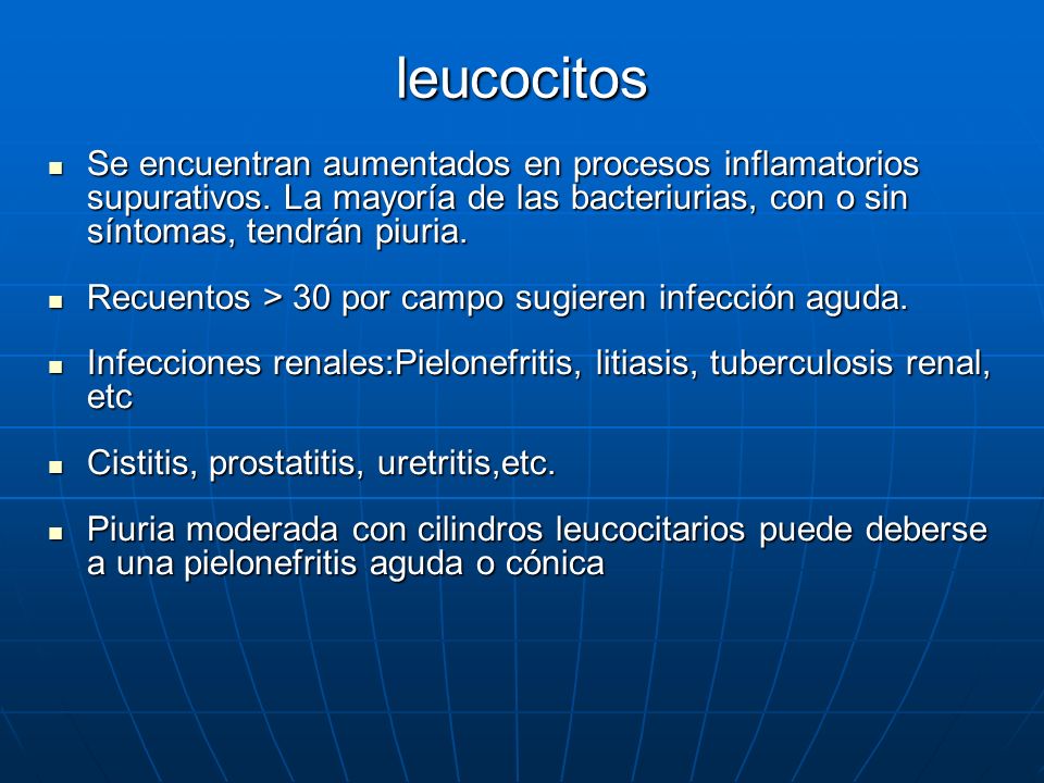 leucocitos Se encuentran aumentados en procesos inflamatorios supurativos. La mayoría de las bacteriurias, con o sin síntomas, tendrán piuria.