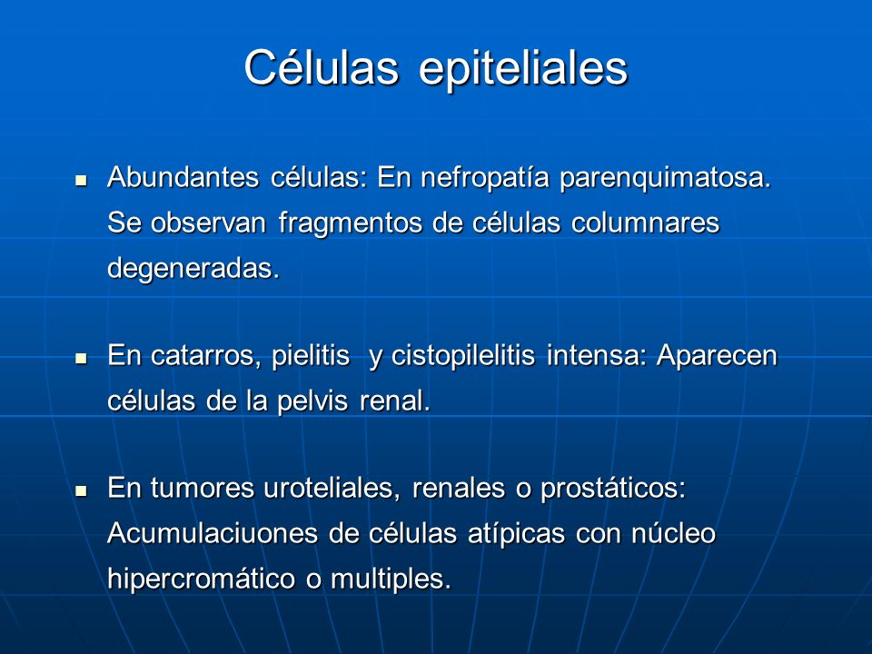 Células epiteliales Abundantes células: En nefropatía parenquimatosa. Se observan fragmentos de células columnares degeneradas.