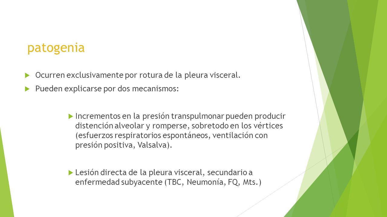 patogenia Ocurren exclusivamente por rotura de la pleura visceral.
