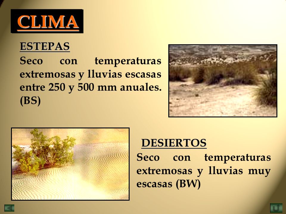 CLIMA ESTEPAS. Seco con temperaturas extremosas y lluvias escasas entre 250 y 500 mm anuales. (BS)