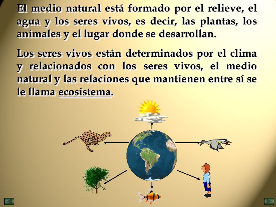 El medio natural está formado por el relieve, el agua y los seres vivos, es decir, las plantas, los animales y el lugar donde se desarrollan.