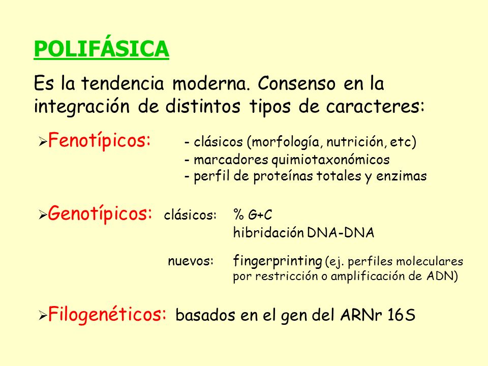 POLIFÁSICA Es la tendencia moderna. Consenso en la integración de distintos tipos de caracteres:
