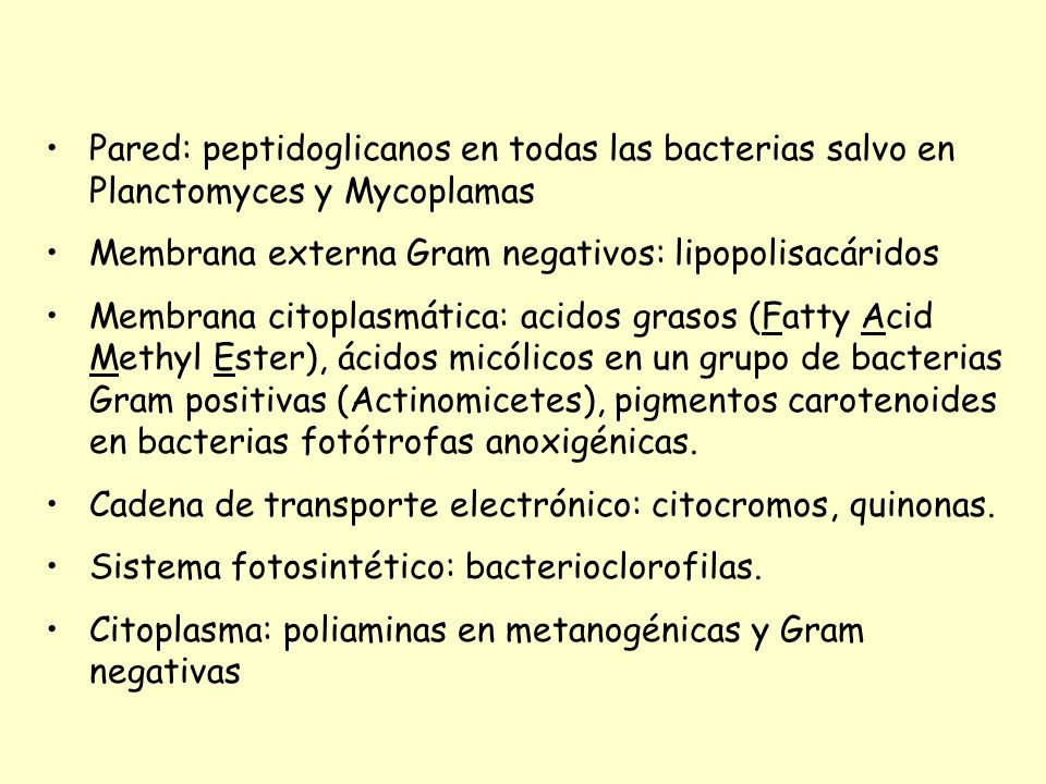 Pared: peptidoglicanos en todas las bacterias salvo en Planctomyces y Mycoplamas