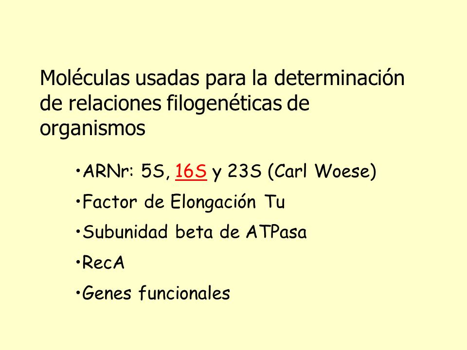 Moléculas usadas para la determinación de relaciones filogenéticas de organismos
