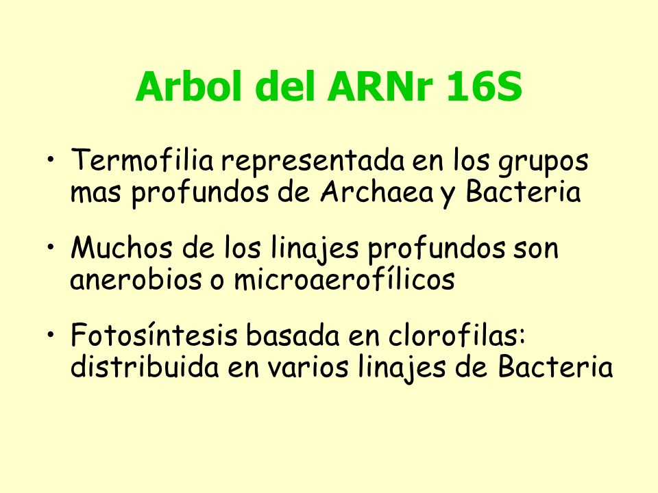 Arbol del ARNr 16S Termofilia representada en los grupos mas profundos de Archaea y Bacteria.