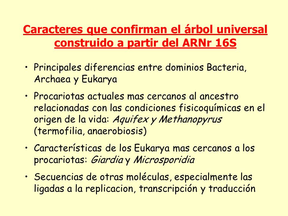 Caracteres que confirman el árbol universal construido a partir del ARNr 16S