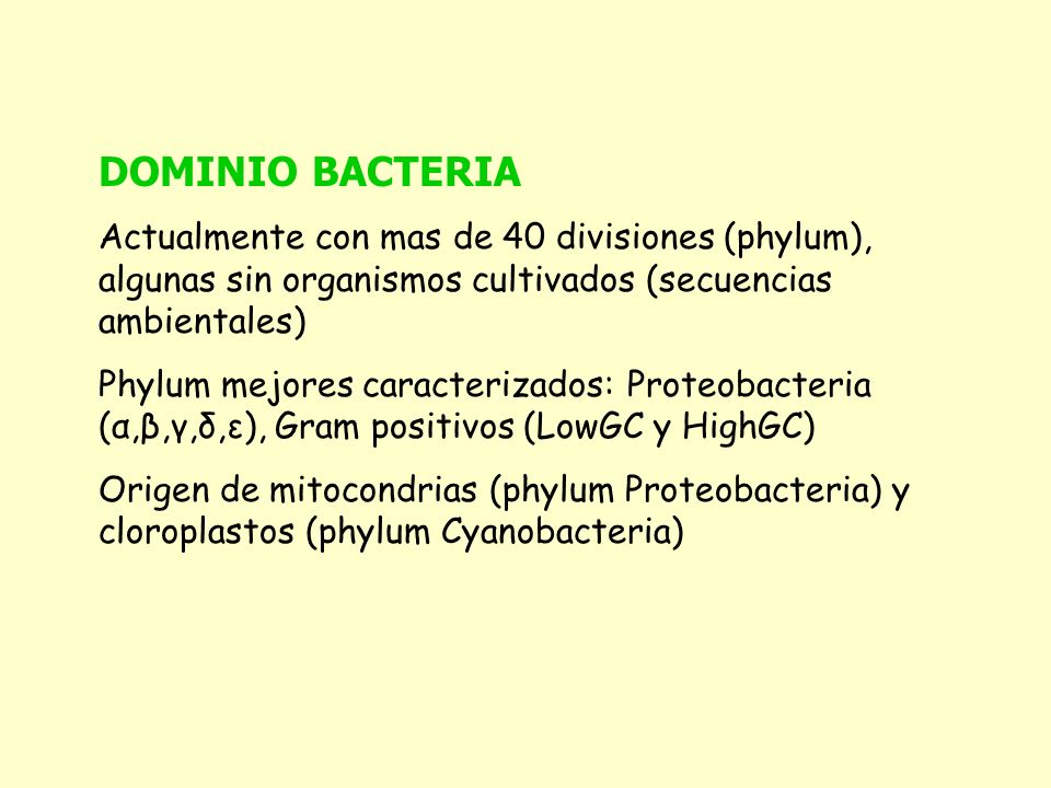 DOMINIO BACTERIA Actualmente con mas de 40 divisiones (phylum), algunas sin organismos cultivados (secuencias ambientales)
