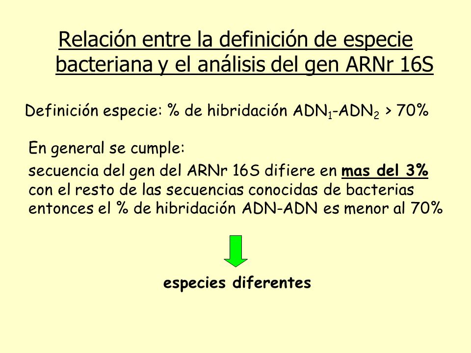 Relación entre la definición de especie bacteriana y el análisis del gen ARNr 16S