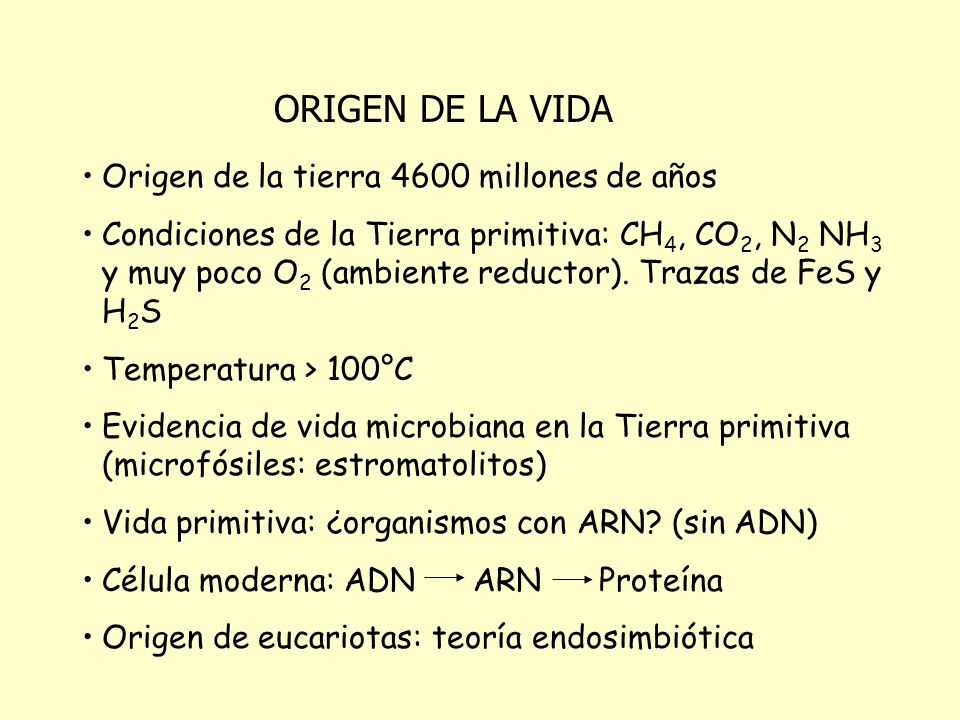 ORIGEN DE LA VIDA Origen de la tierra 4600 millones de años