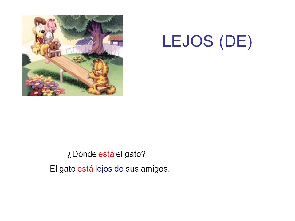 LEJOS (DE) ¿Dónde está el gato El gato está lejos de sus amigos.
