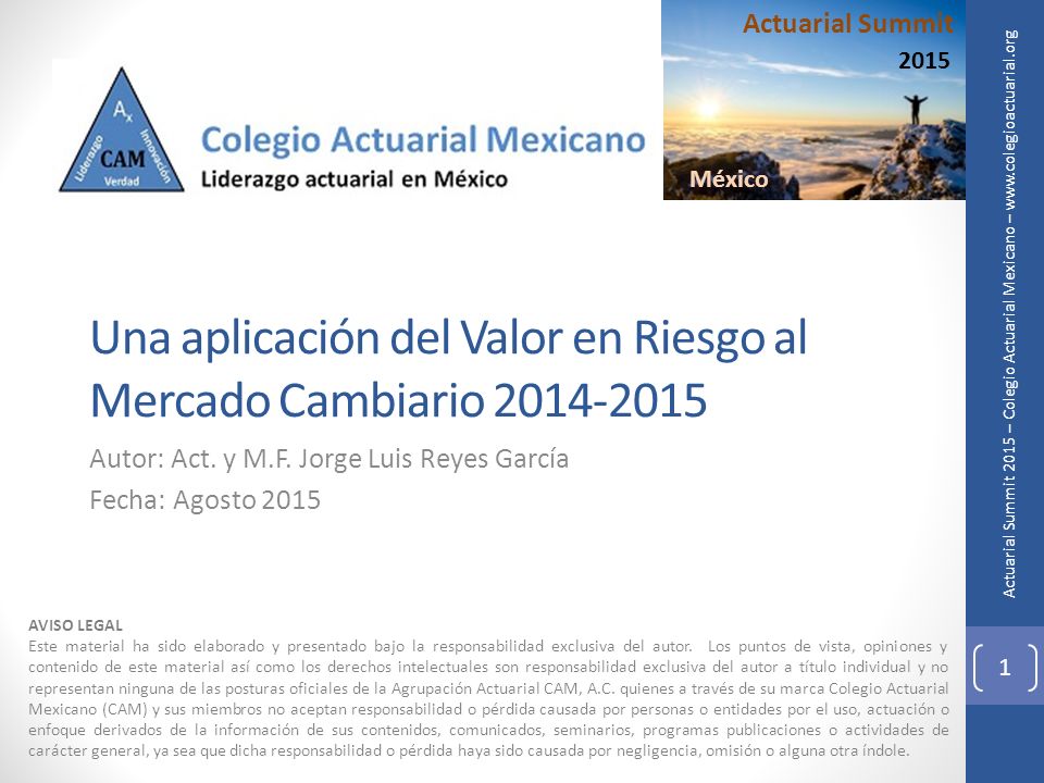 Una aplicación del Valor en Riesgo al Mercado Cambiario