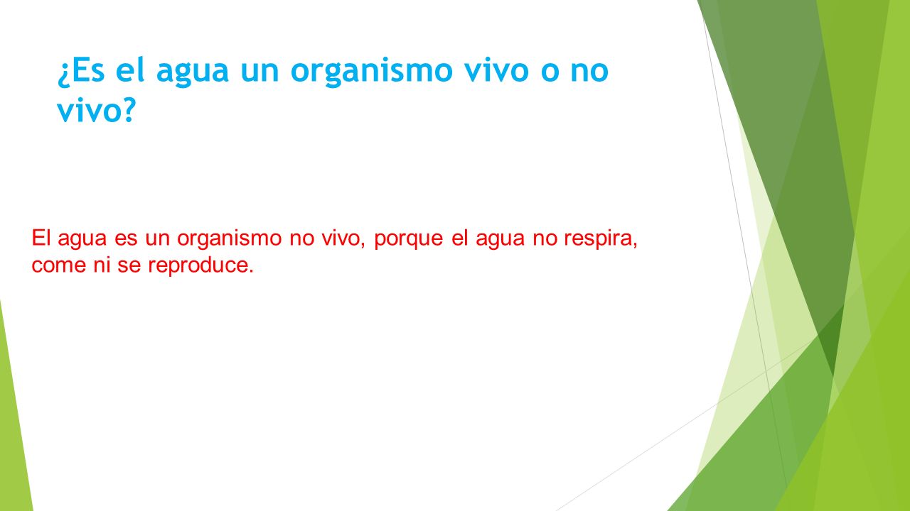 ¿Es el agua un organismo vivo o no vivo