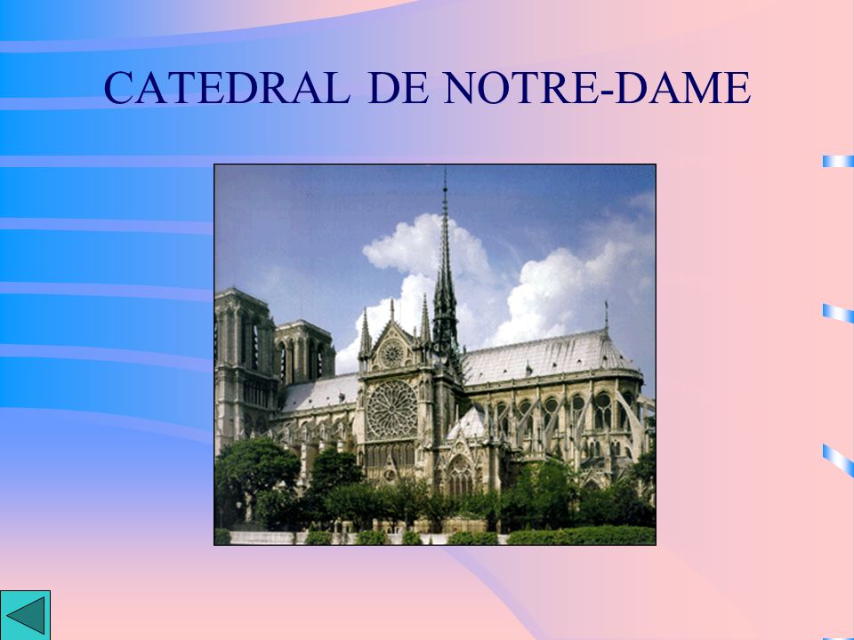 CATEDRAL DE NOTRE-DAME