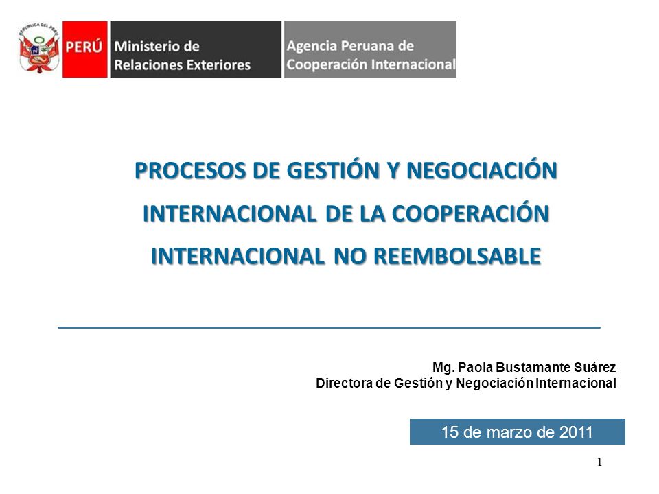 PROCESOS DE GESTIÓN Y NEGOCIACIÓN INTERNACIONAL DE LA COOPERACIÓN INTERNACIONAL NO REEMBOLSABLE