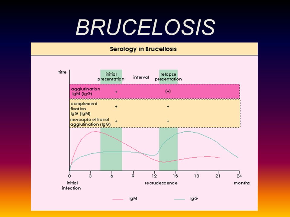 BRUCELOSIS