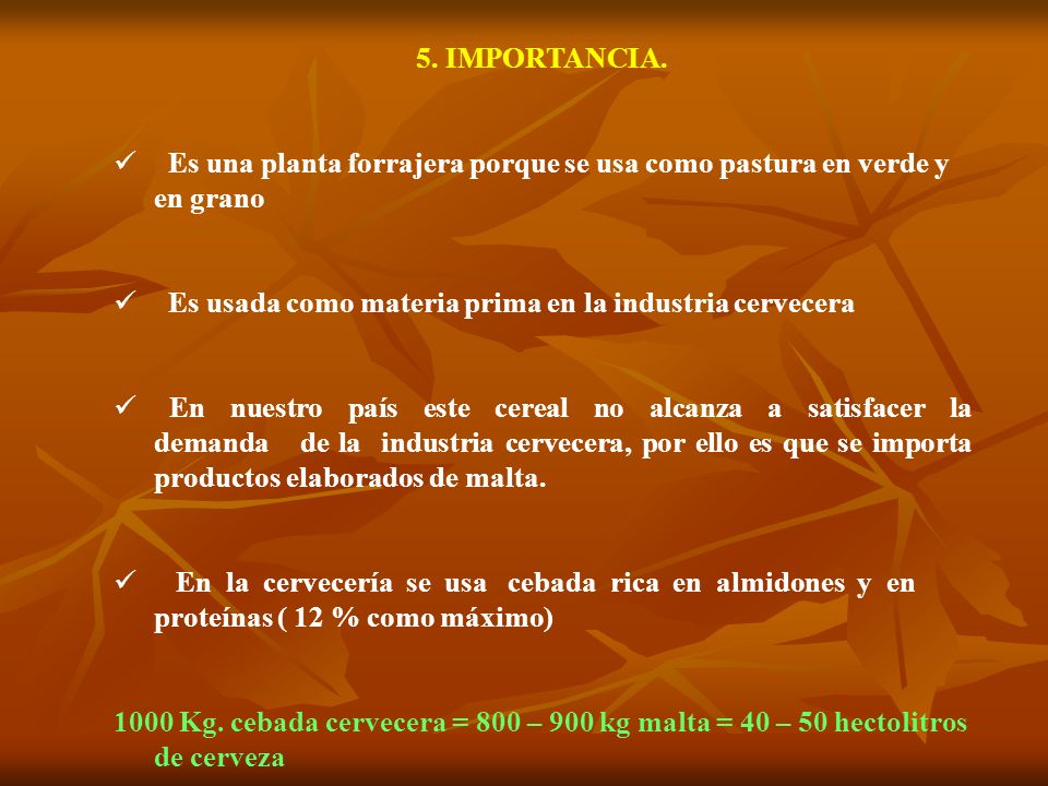 5. IMPORTANCIA. Es una planta forrajera porque se usa como pastura en verde y en grano. Es usada como materia prima en la industria cervecera.