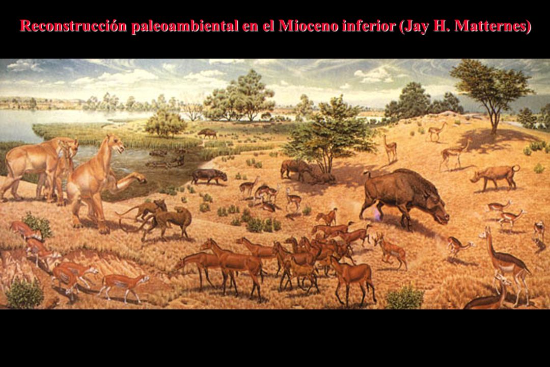 Reconstrucción paleoambiental en el Mioceno inferior (Jay H. Matternes)