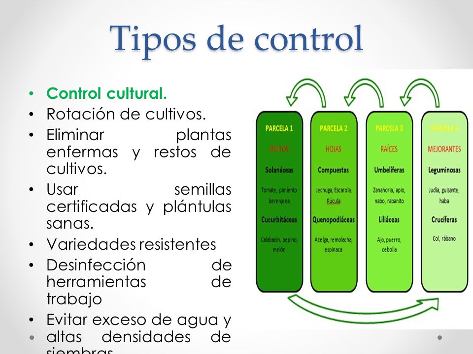 Tipos de control Control cultural. Rotación de cultivos.