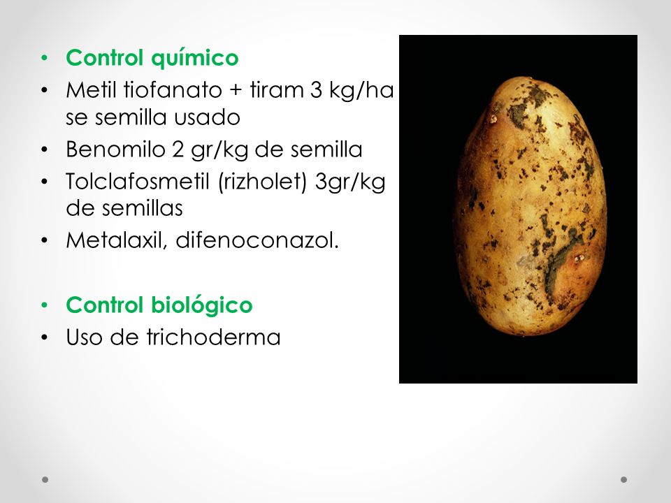 Control químico Metil tiofanato + tiram 3 kg/ha se semilla usado. Benomilo 2 gr/kg de semilla. Tolclafosmetil (rizholet) 3gr/kg de semillas.