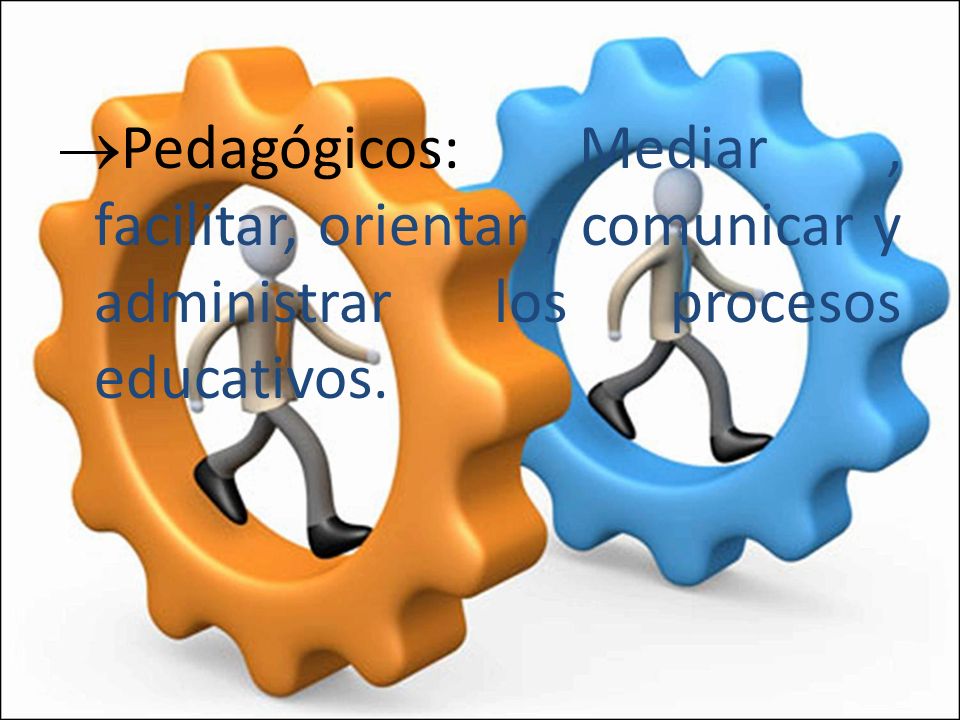 Pedagógicos: Mediar , facilitar, orientar , comunicar y administrar los procesos educativos.